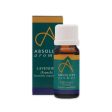 Absolute Aromas Lavender Oil 10ml For Sale