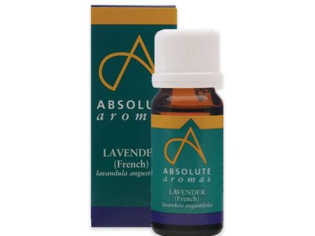 Absolute Aromas Lavender Oil 10ml For Sale