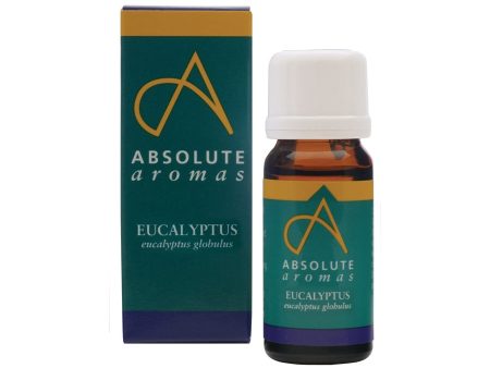 Absolute Aromas Eucalyptus Oil 10ml Discount