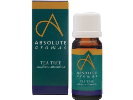 Absolute Aromas Tea Tree Oil 10ml For Cheap