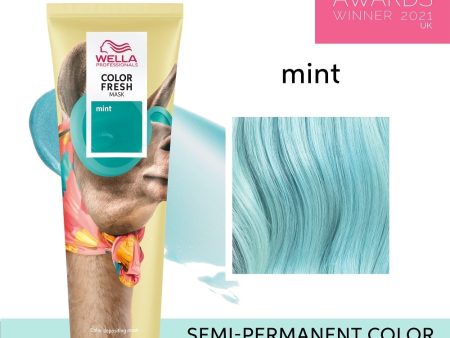 Color Fresh Mask Mint 150ml For Discount