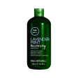 PAUL MITCHELL TEA TREE LAVENDER MINT SHAMPOO 300ML For Discount