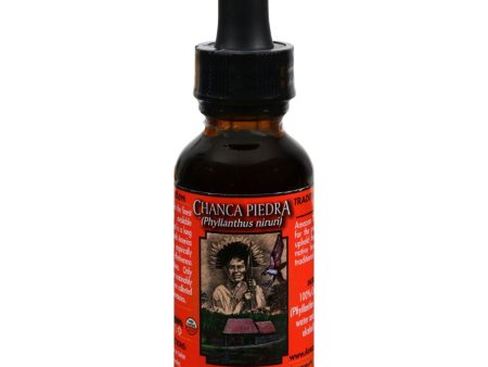 Amazon Therapeutic Labs - Chanca Piedra - 1 Fl Oz Sale