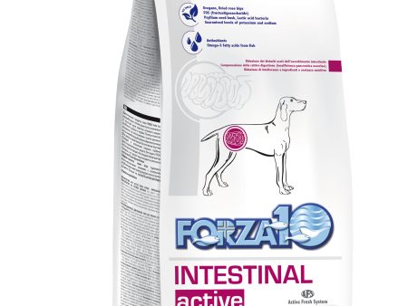 Active Dog Intestinal 22lb Online Hot Sale