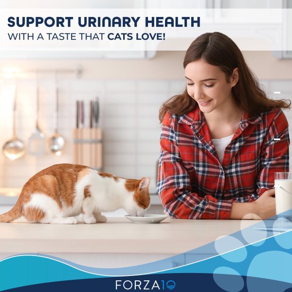 Active Cat Urinary 4lb For Cheap