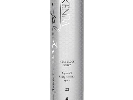 Kenra Professional Heat Block Spray #22 on Sale