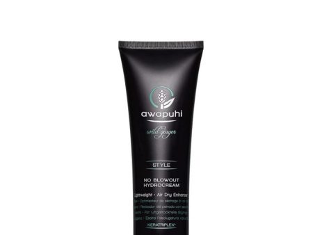 John Paul Mitchell Systems Awaphi Wild Ginger No Blow Out Hydrocream Hot on Sale