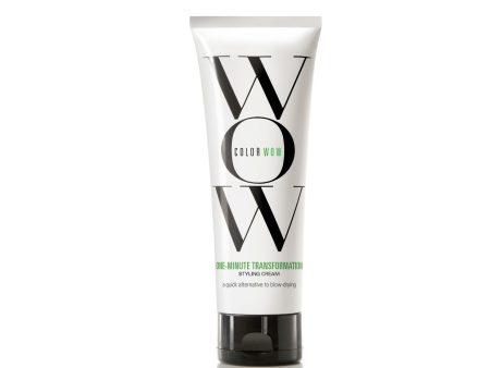 COLOR WOW ONE-MINUTE TRANSFORMATION Anti-Frizz Styling Cream 120ml For Sale