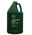 John Paul Mitchell Systems - Lavender Mint Moisturizing Shampoo Hot on Sale