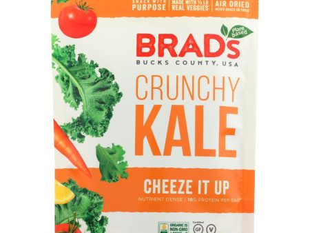 Brad s Plant Based - Crunchy Kale - Cheeze It Up - Case Of 12 - 2 Oz. For Sale