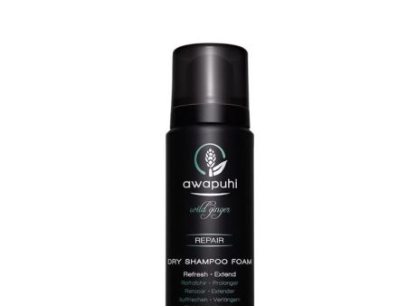 John Paul Mitchell Systems Awapuhi Wild Ginger Dry Shampoo Foam Sale