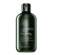 John Paul Mitchell Systems - Lavender Mint Moisturizing Shampoo Hot on Sale